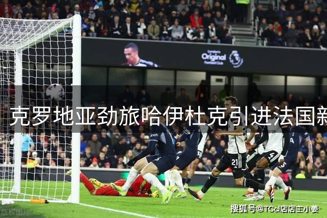 克罗地亚劲旅哈伊杜克引进法国新星法耶兹 签约五年